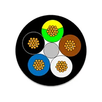 1554216002 by Molex